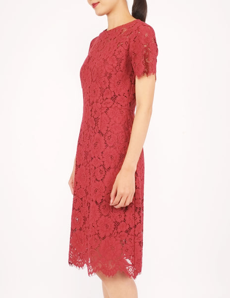 Elodie Lace Sheath Dress (Red)